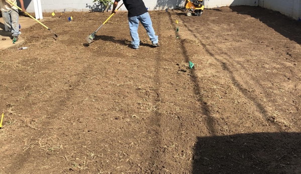 Cardenas Gardening Lawn Maintenance - Santa Ana, CA