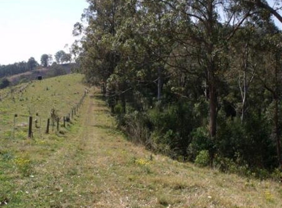Gooch Agencies - Gloucester, NSW