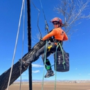 SavATree - Tree Service