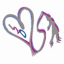 Live Love Dance - Dancing Instruction