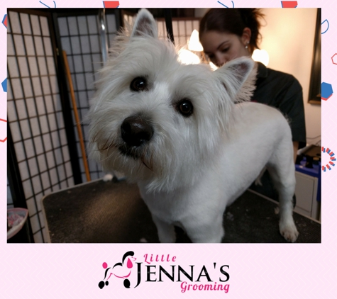 Little Jenna's Grooming - Chantilly, VA