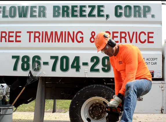 Jardineria con Flower Breeze Corp. - Miami, FL