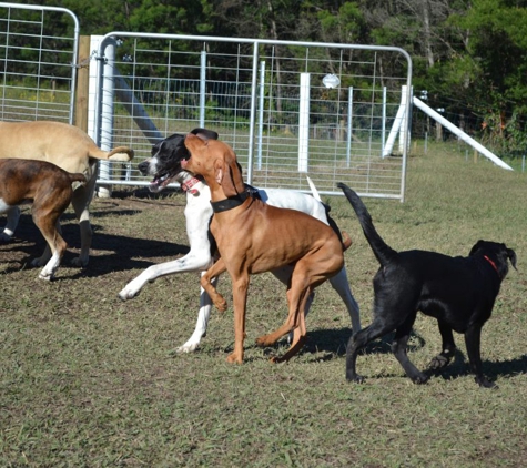 Paradise Pet Parks - Falls Creek, NSW