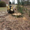 M&M Stump Grinding, LLC gallery