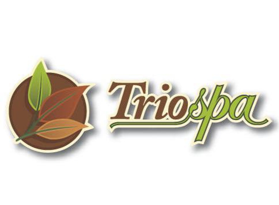 TrioSpa - Massage, Facials & Waxing / Trio Wellness Mgmt - San Jose, CA