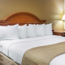 Quality Inn - Motels