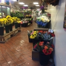 Compo Farm Flowers - Florists Supplies