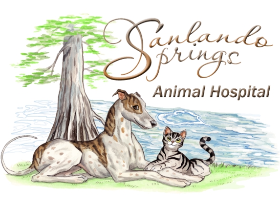 Sanlando Springs Animal Hospital - Longwood, FL