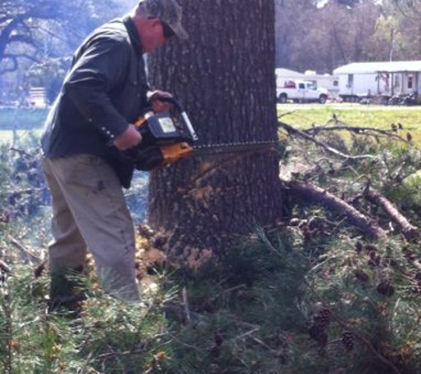 Babe's Tree Service. Marvin Efferson