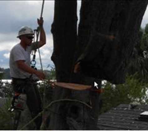 Briggs Tree Service