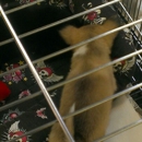 Our Pet World