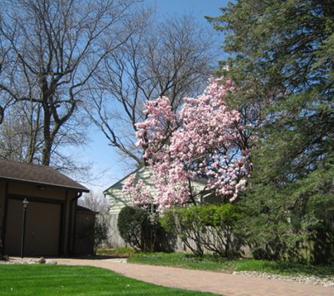 Ames Story Tree & Lawn - Ames, IA