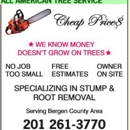 All American Tree Service - Tree Service