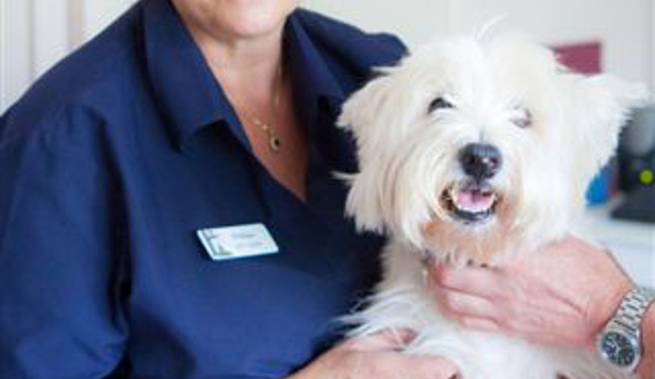 Seymour Veterinary Surgery - Seymour, VIC