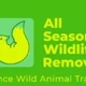 All Seasons Wildlife Removal