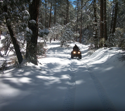 Size Matters ATV, UTV Rentals & Tours - Peoria, AZ