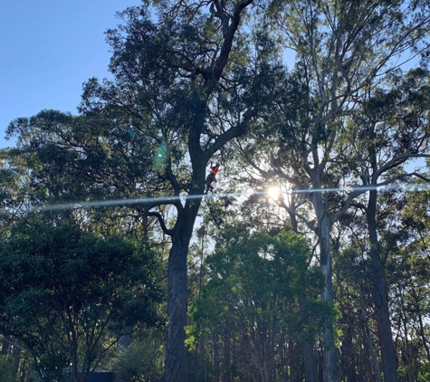 Dynamic Tree Works