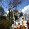 Chaz's Tree Service gallery