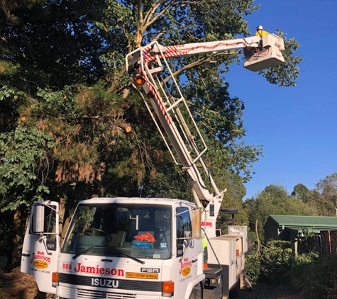Rob Jamieson Tree & Stump Removal - Colac East, VIC