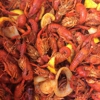 Crawfish Hole gallery