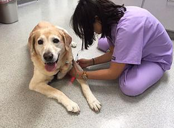 Hammocks Veterinary Hospital - Miami, FL