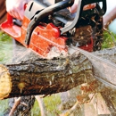 Kiker Tree Service & Stump Removal - Landscaping & Lawn Services