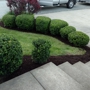 GRASS ROOTS LAWN CARE SERVICE