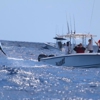 Delph Fishing Charters gallery