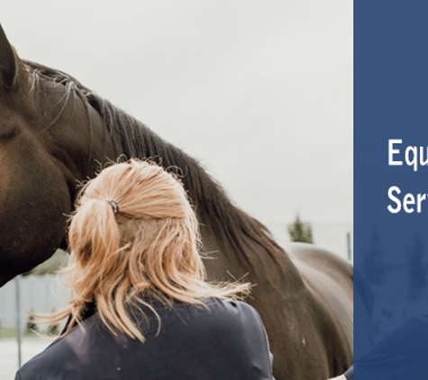 Meander Valley Veterinary Service - Westbury, TAS. Equine Services