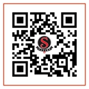 Satire Brewing Company