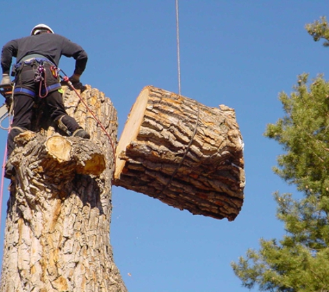 Trapper's Tree Service - Columbus, OH