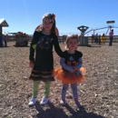 Maxwell's Pumpkin Farm