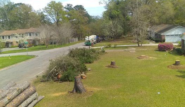 Big Bend Tree Service - Tallahassee, FL