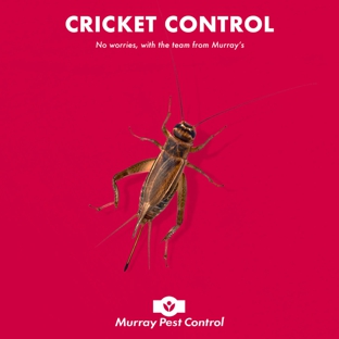Murray Pest Control - Stepney, SA