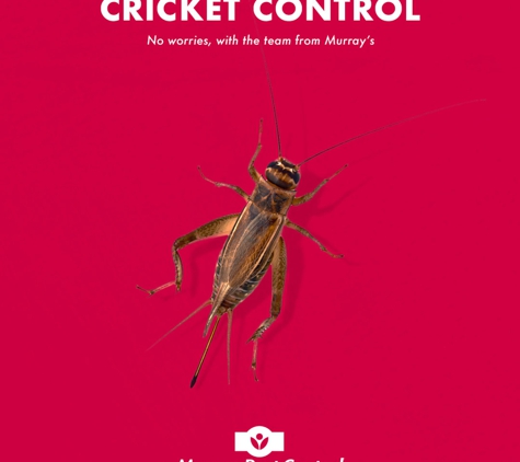Murray Pest Control - Jamestown, SA