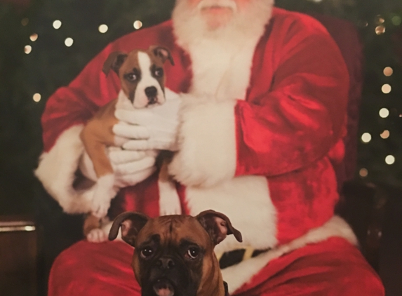 Animal Health Center - Marion, AR. CJ and his lil buddy Brutus 
Merry Christmas!