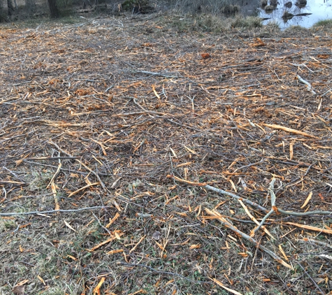 Darryl Mueller Backhoe & Drilling - Louisburg, NC. A carpet of mulch from trees can biodegrade that’s all that left!