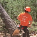 Hibbs logging - Arborists