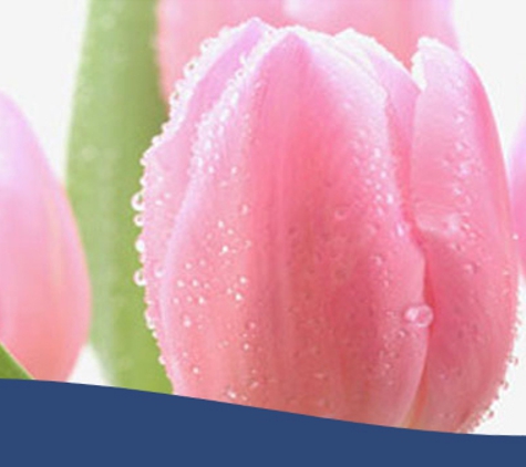 Barbara King Funeral Director Pty Ltd. Professional and compassionate funeral directors.