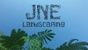 JNE Landscaping - Landscaping & Lawn Services