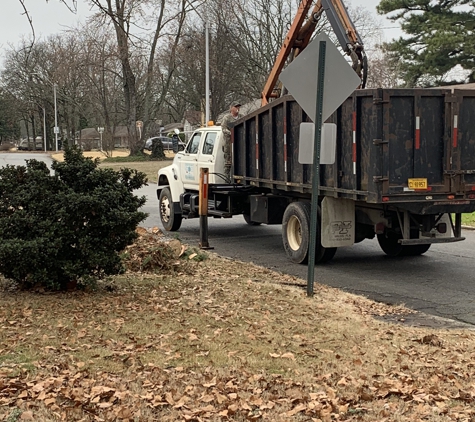 Afford Tree Service - Jacksonville, AR