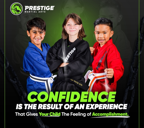 Prestige Martial Arts - Troy, MI