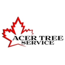 Acer Tree Service - Arborists