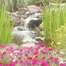 Bee Landscaping - Landscape Designers & Consultants