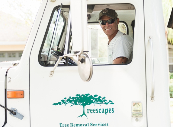 Treescapes Tree Removal Service