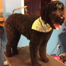 Bjs Dog Grooming - Pet Grooming