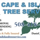 Cape & Island Tree Service