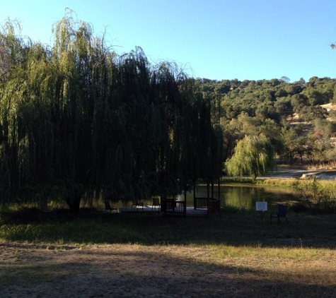 Sivanada Ashram Yoga Farm - Grass Valley, CA