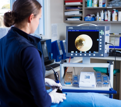 Warwick Veterinary Clinic - Warwick, QLD