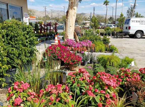 Desert Hot Springs Floirist & Garden Center Nurse - Desert Hot Springs, CA. Plants for every need. They help with ponds too.